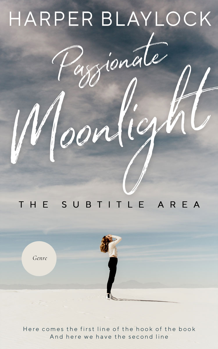 2D view of Premade Romance Book Cover - Gray Nickel