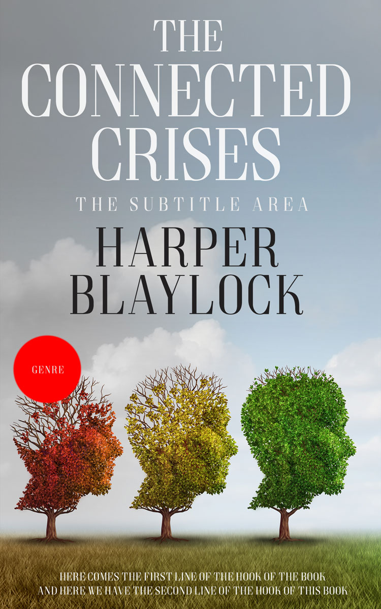 2D view of Premade Politics & Law & Society Book Cover - Gray Chateau