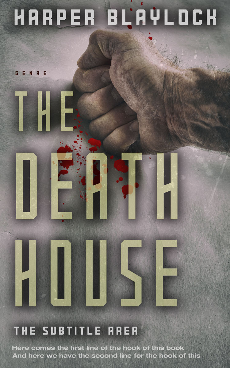 2D view of Premade Mystery & Thriller & Suspense Book Cover - Flint