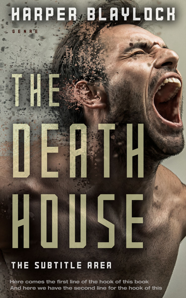 2D view of Premade Mystery & Thriller & Suspense Book Cover - Birch