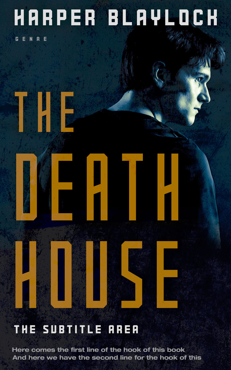 2D view of Premade Mystery & Thriller & Suspense Book Cover - Ebony