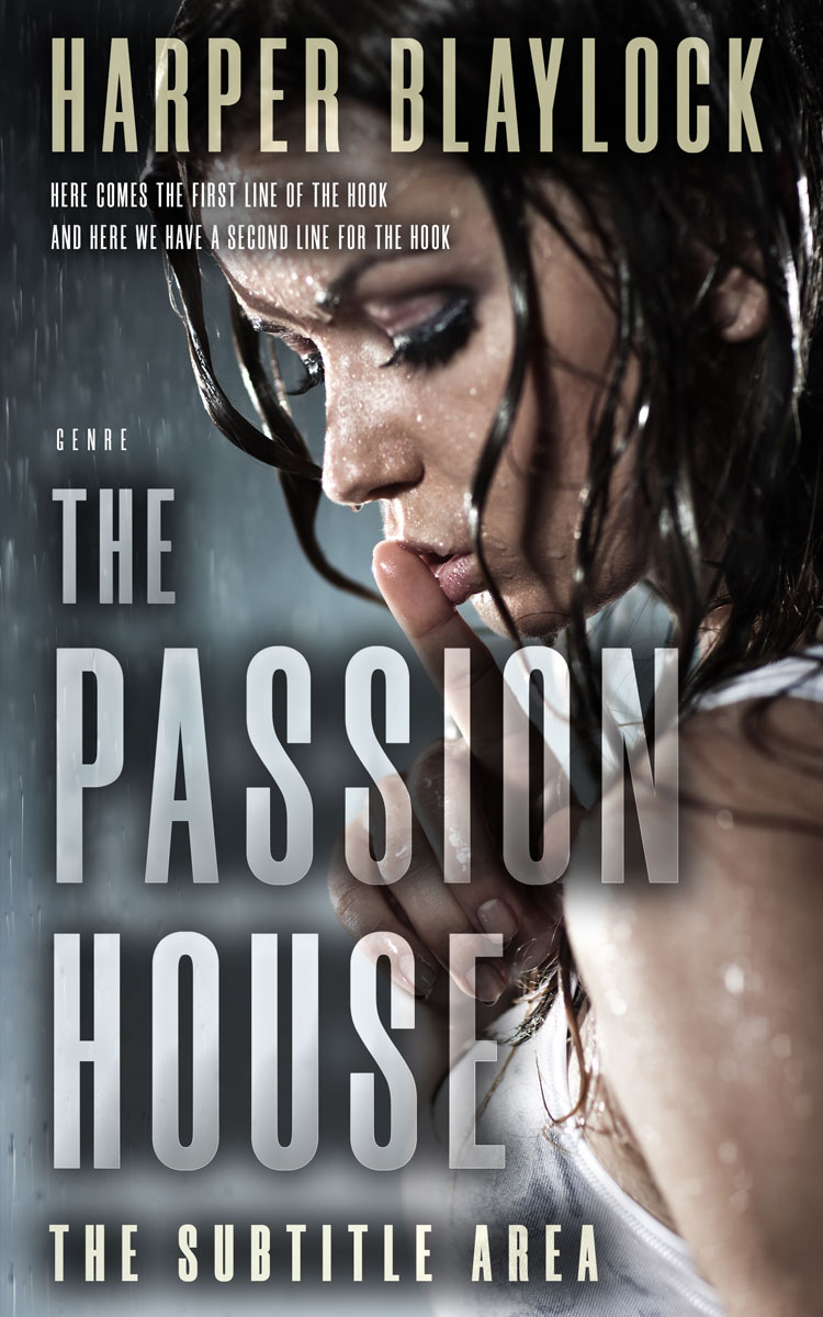 2D view of Premade Literary Fiction Book Cover - Thunder