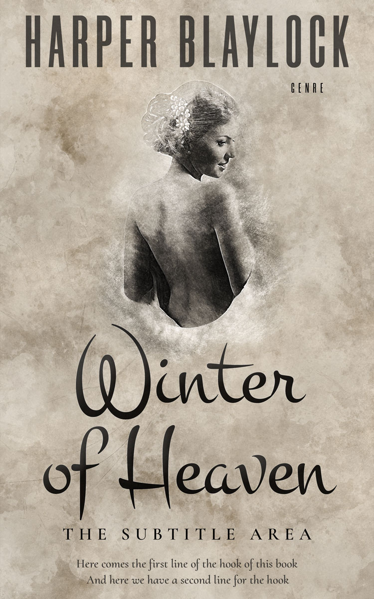 2D view of Premade Historical Book Cover - Bison Hide