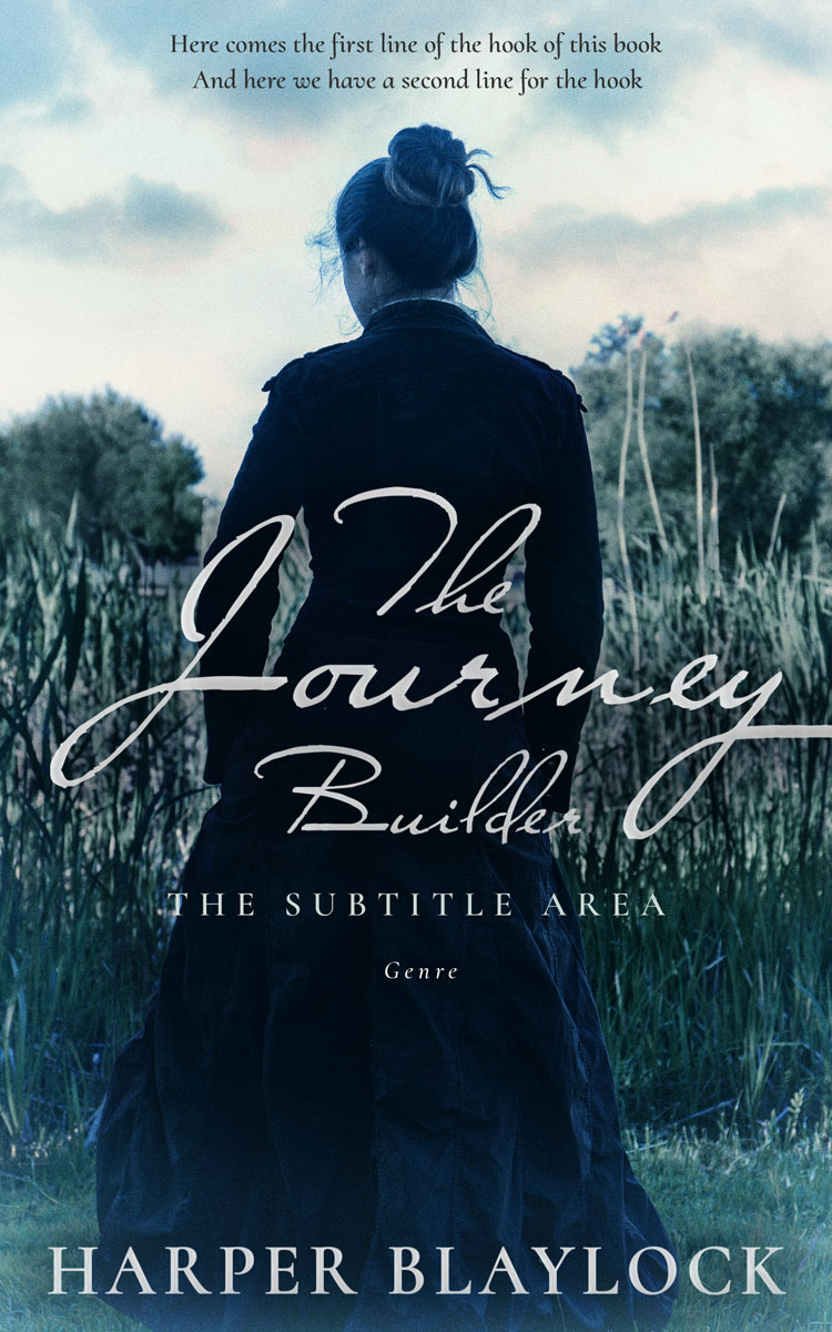 2D view of Premade Mystery & Thriller & Suspense Book Cover - Nebula