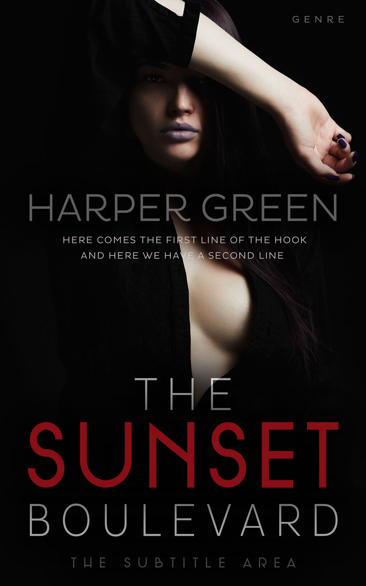 2D view of Premade Erotica Book Cover - Black