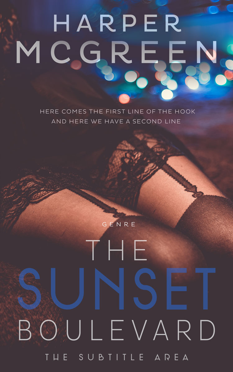 2D view of Premade Erotica Book Cover - Ship Gray