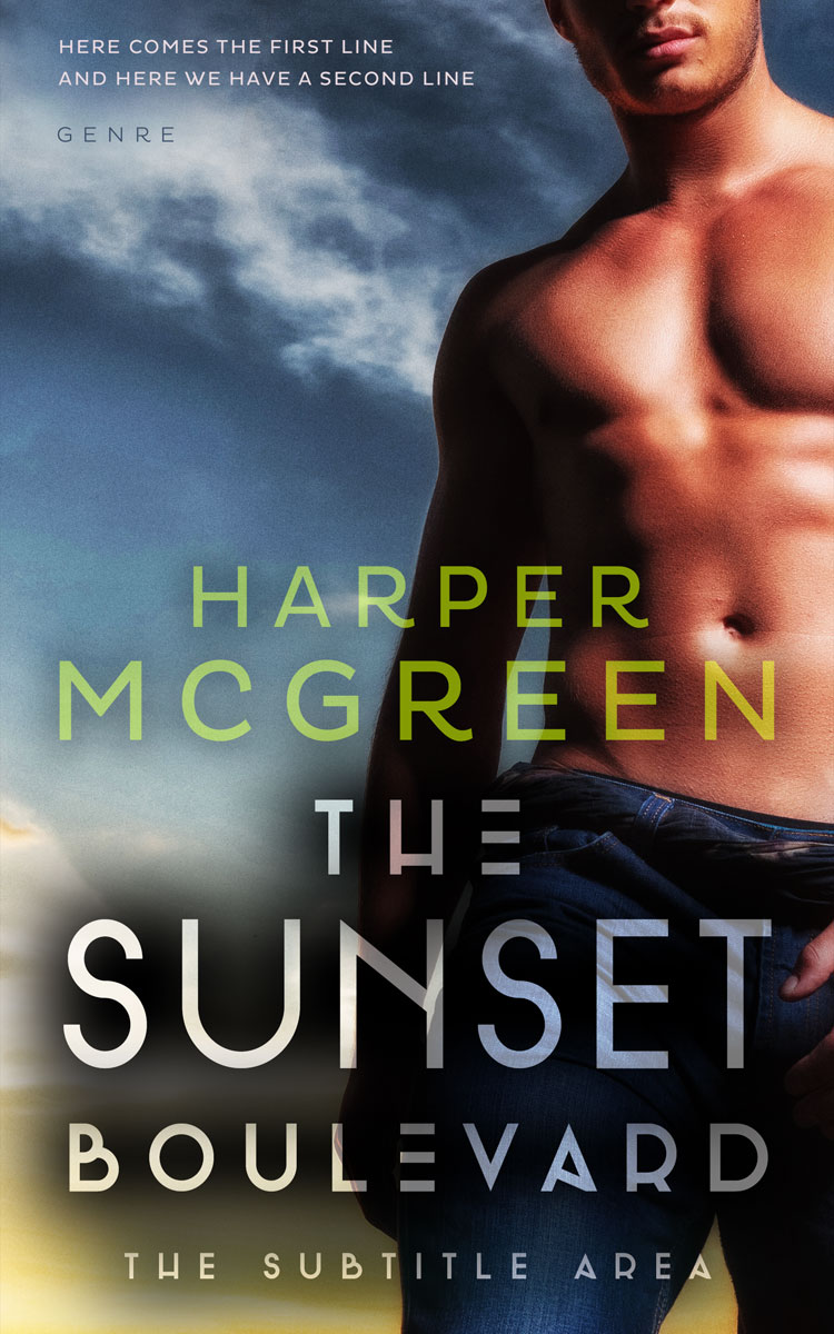 2D view of Premade Erotica Book Cover - Charade