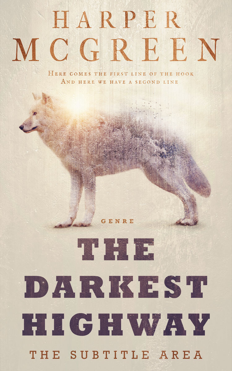 2D view of Premade Mystery & Thriller & Suspense Book Cover - Wafer