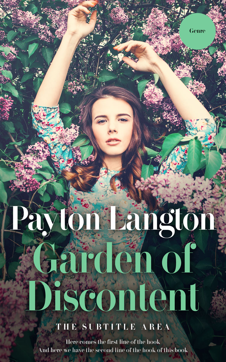 2D view of Premade Romance Book Cover - Outer Space