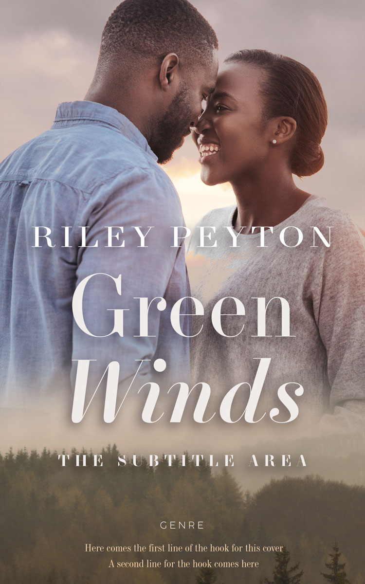 2D view of Premade Romance Book Cover - Hurricane