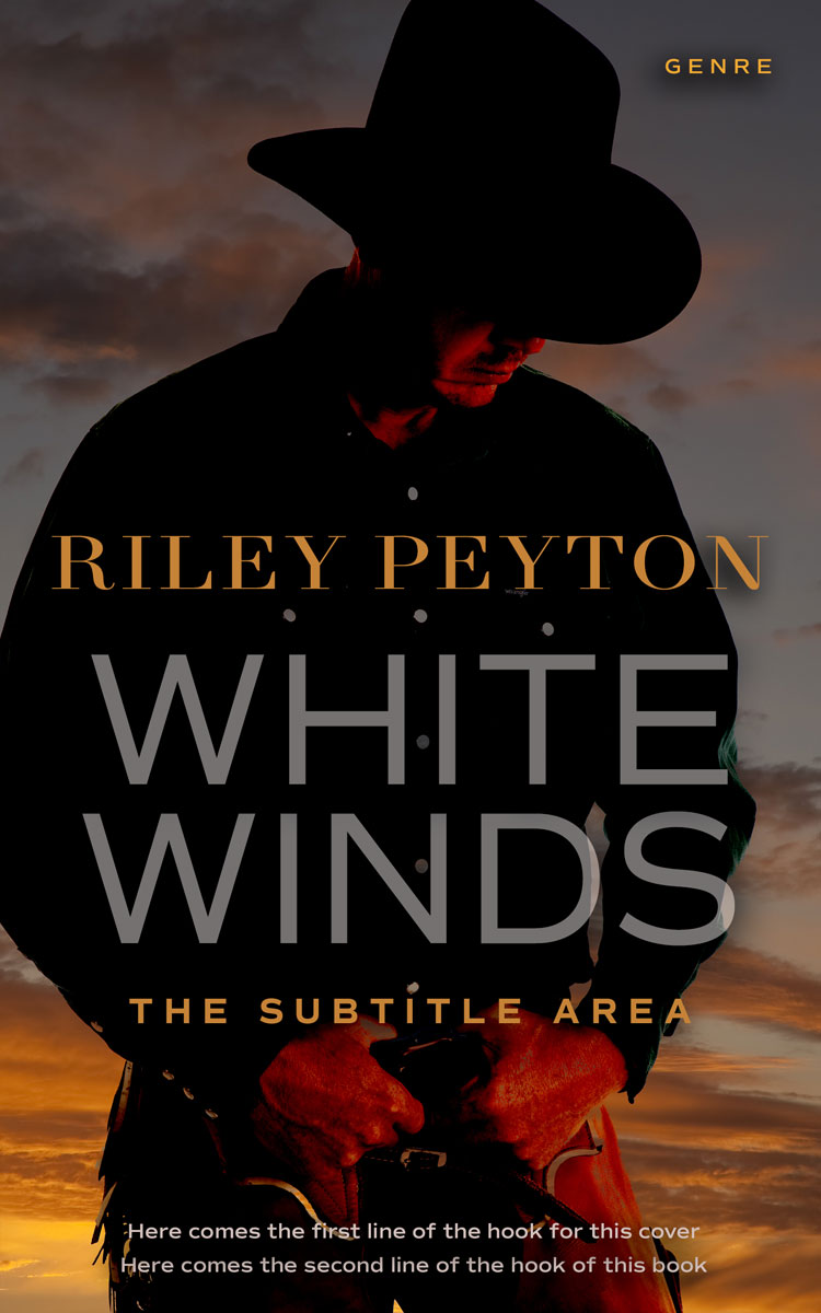 2D view of Premade Action & Adventure Book Cover - Paarl