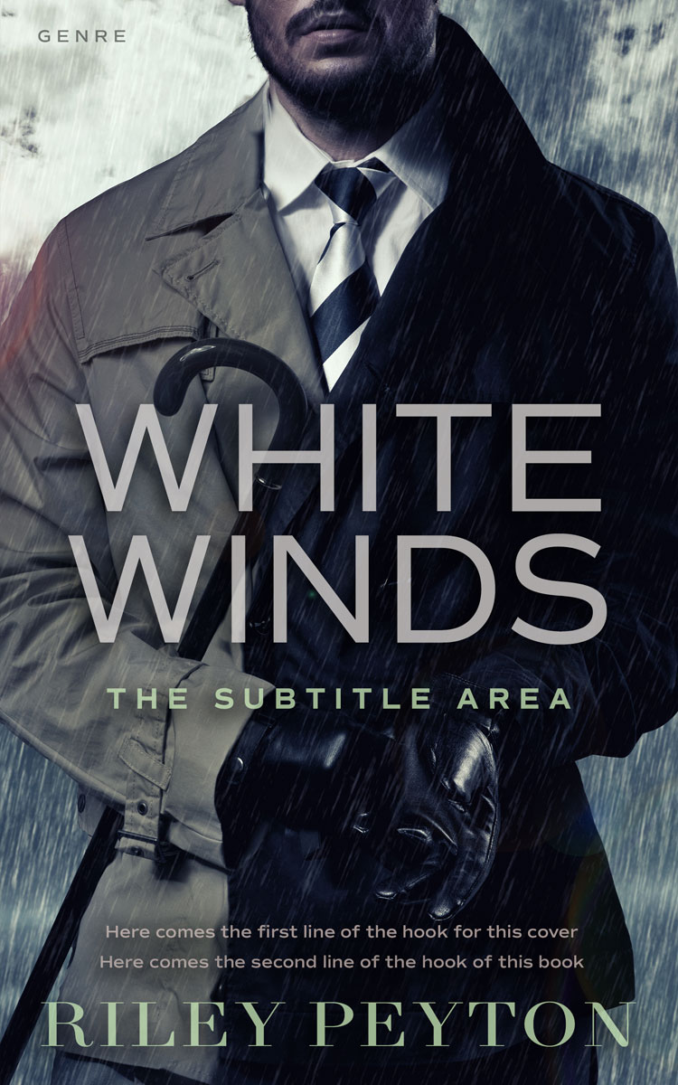 2D view of Premade Mystery & Thriller & Suspense Book Cover - Mirage