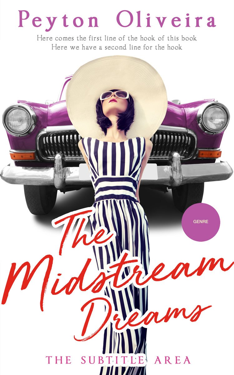 2D view of Premade Chick Lit Book Cover - Steel Gray