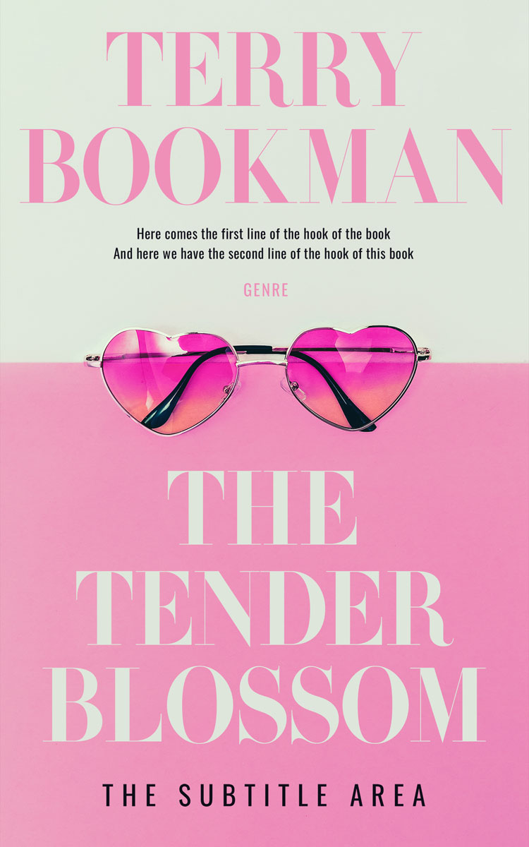 2D view of Premade Chick Lit Book Cover - Carissma