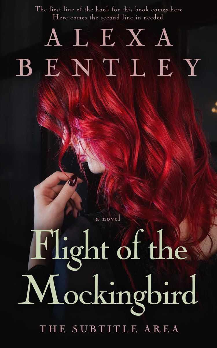 2D view of Premade Romance Book Cover - Gondola