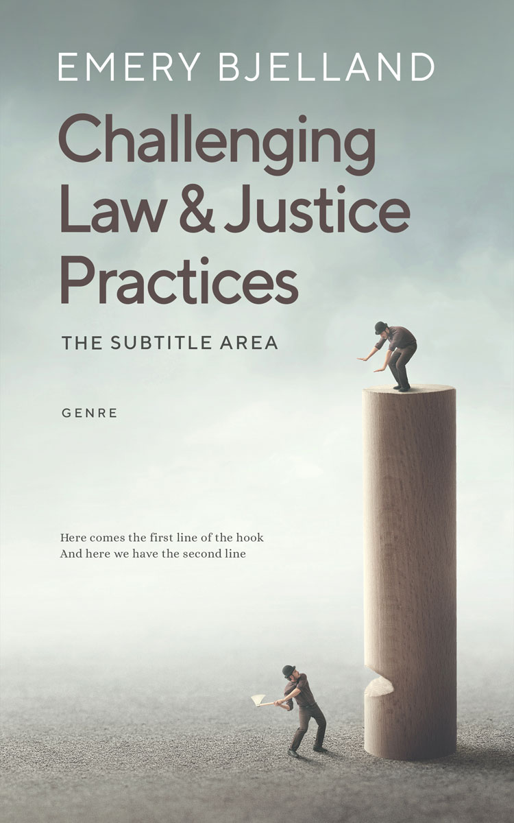 2D view of Premade Politics & Law & Society Book Cover - Pumice