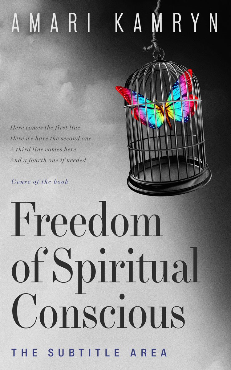 2D view of Premade Poetry Book Cover - Silver