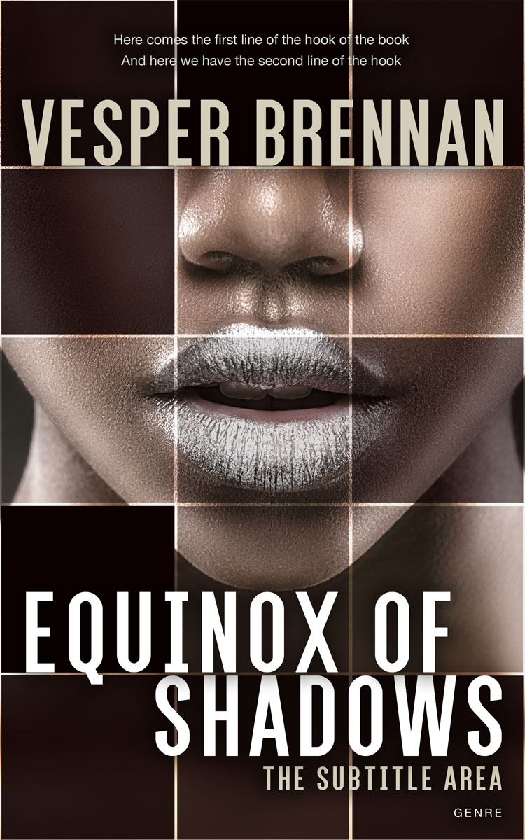 2D view of Premade Teen & Young Adult Book Cover - Bison Hide