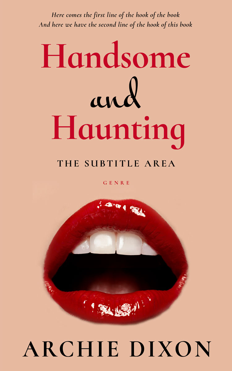 2D view of Premade Erotica Book Cover - Cashmere