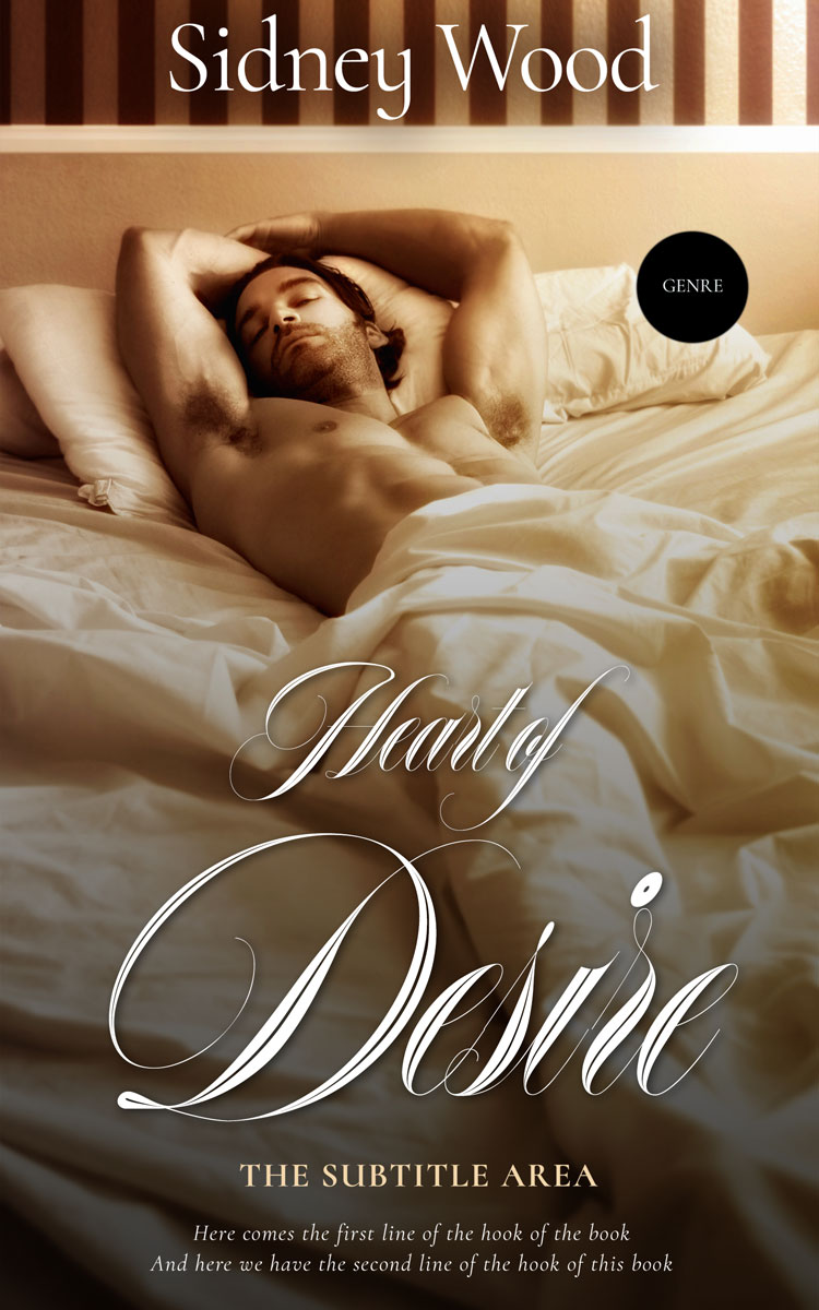 2D view of Premade Erotica Book Cover - Saddle