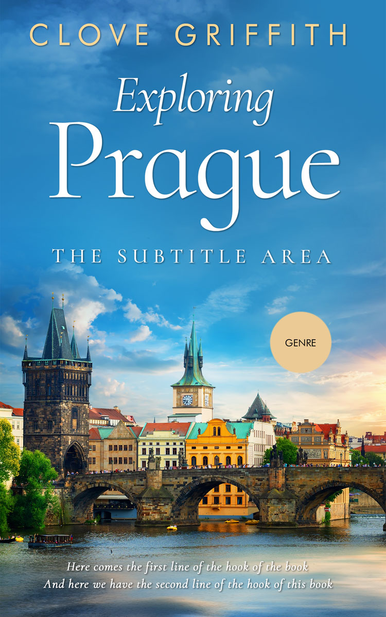 2D view of Premade Travel Book Cover - Steel Blue