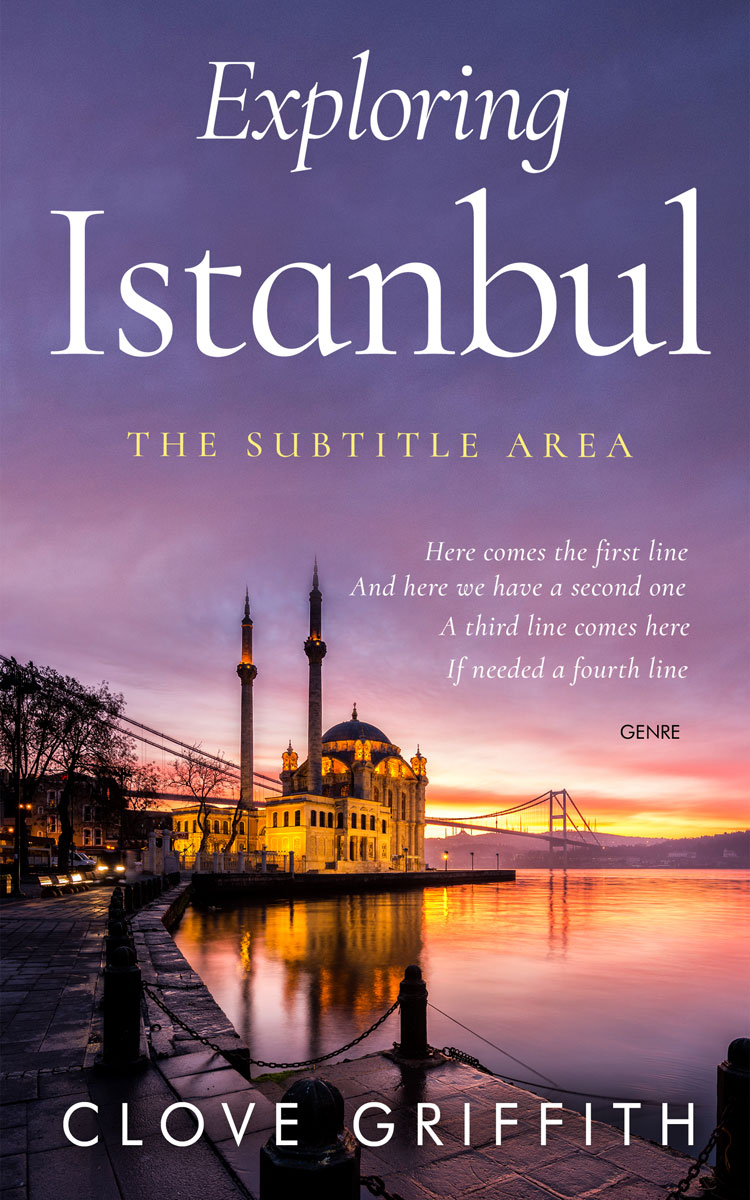 2D view of Premade Travel Book Cover - Rum