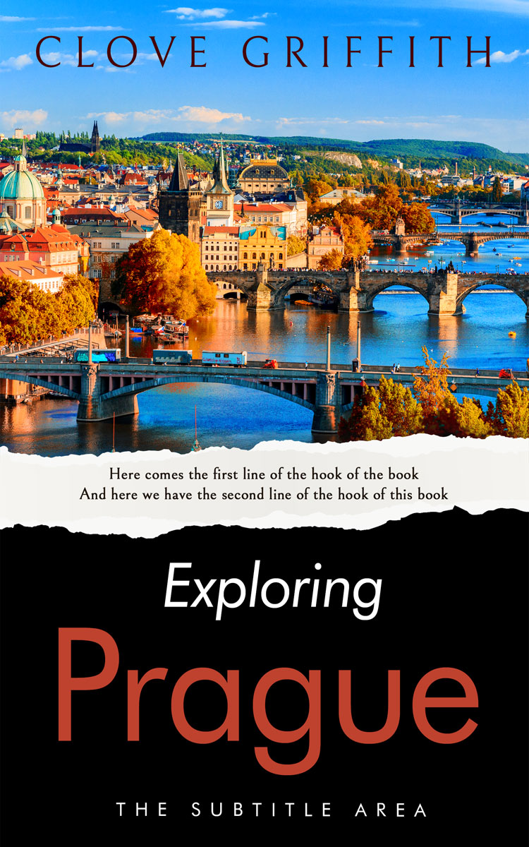 2D view of Premade Travel Book Cover - Cod Gray