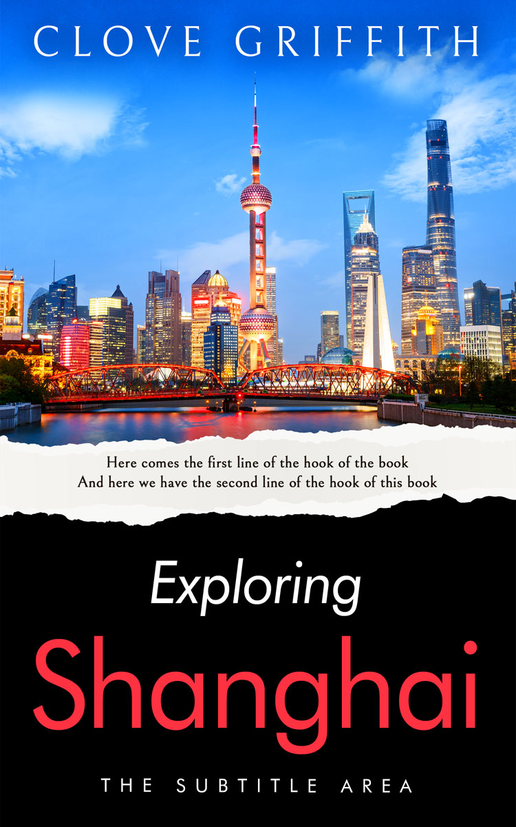 2D view of Cod Gray #10340 - Premade Travel Book Cover