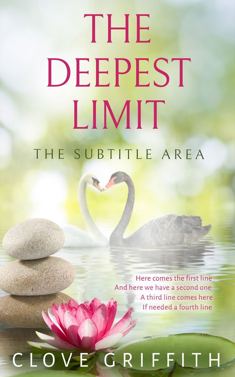 2D view of Premade Self-Improvement & Self-Help Book Cover - Tana