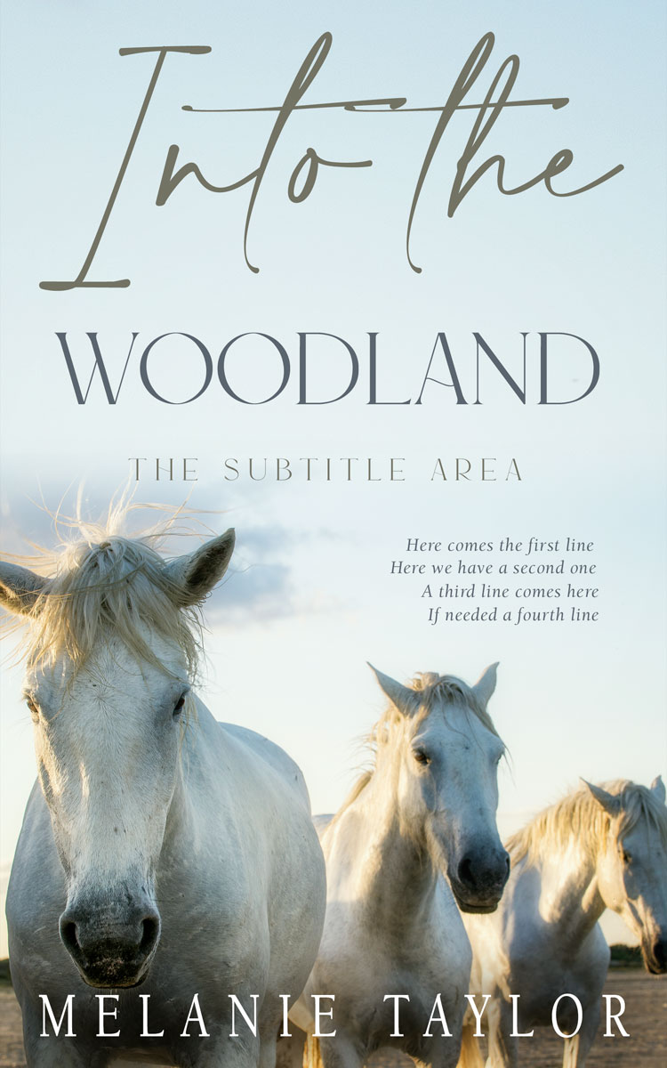 2D view of Premade Nature Book Cover - Geyser