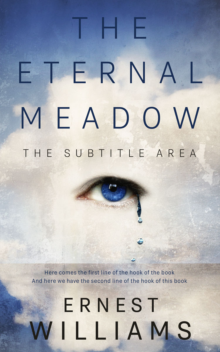 2D view of Premade Surreal Book Cover - Timberwolf