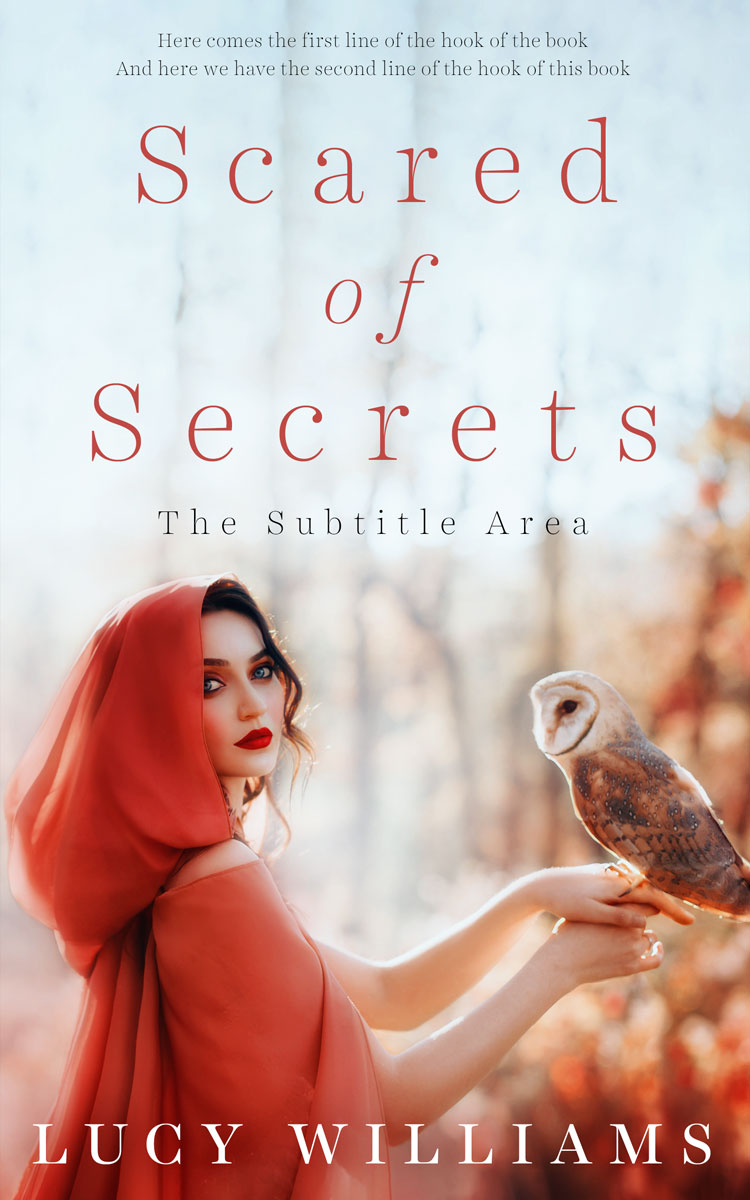 2D view of Premade Fantasy Book Cover - Quill Gray