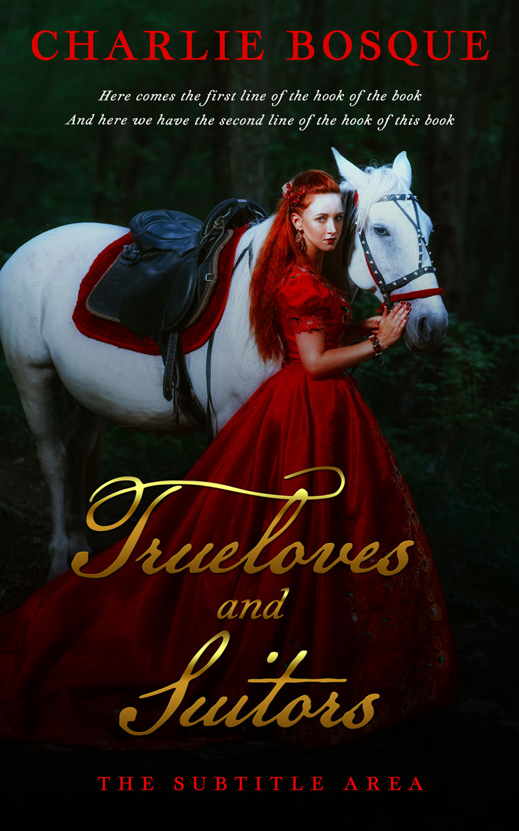 2D view of Premade Fantasy Book Cover - Night Rider