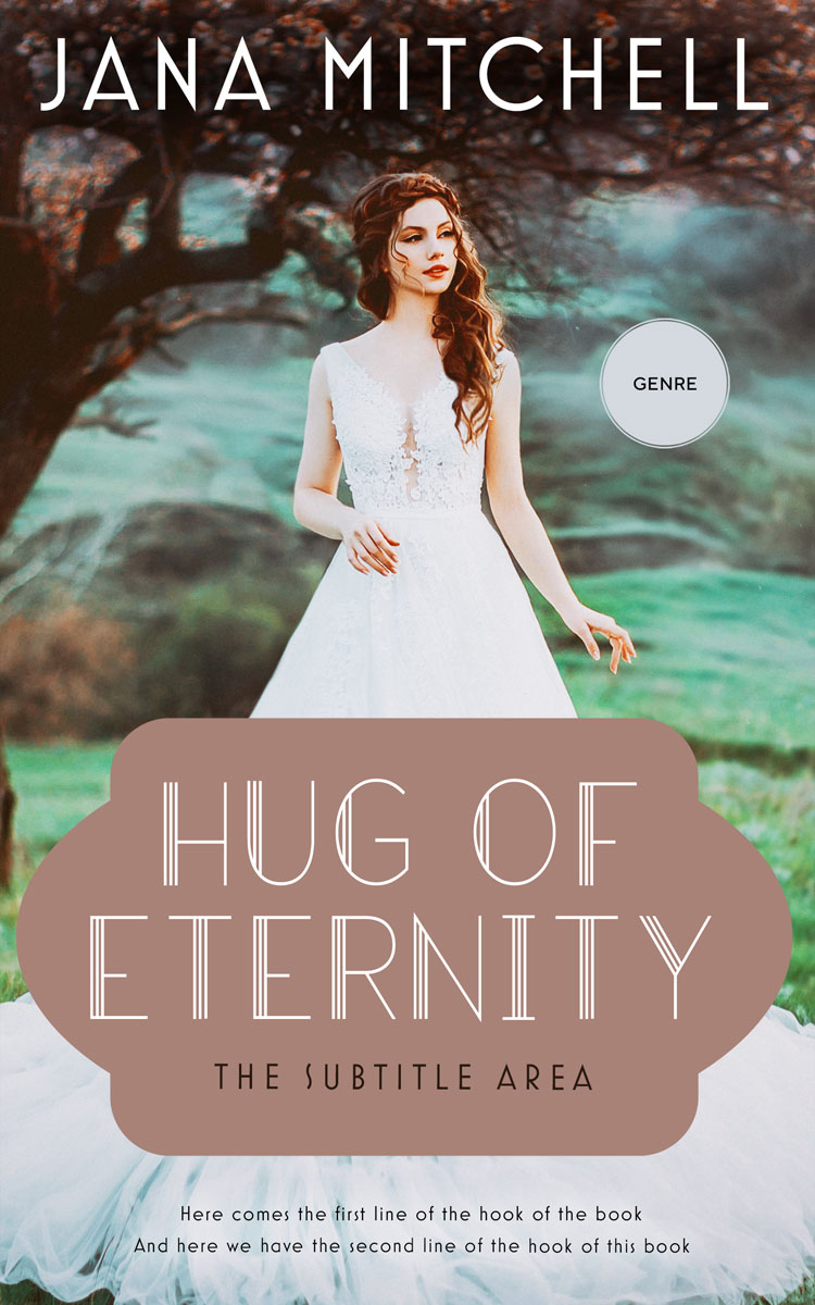 2D view of Premade Romance Book Cover - Stonewall