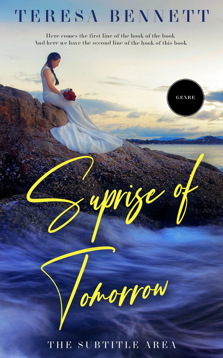 2D view of Premade Romance Book Cover - Tana