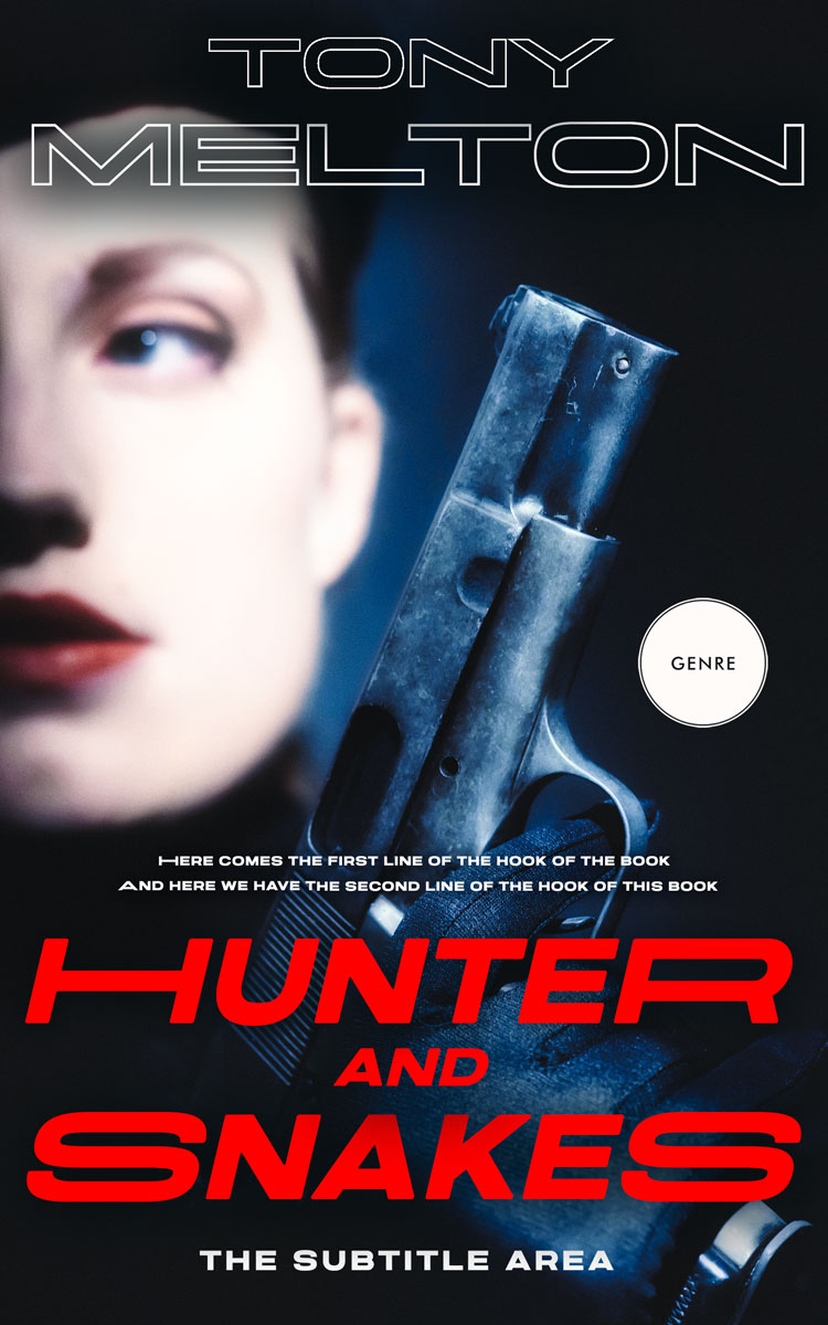 2D view of Premade Mystery & Thriller & Suspense Book Cover - Mirage