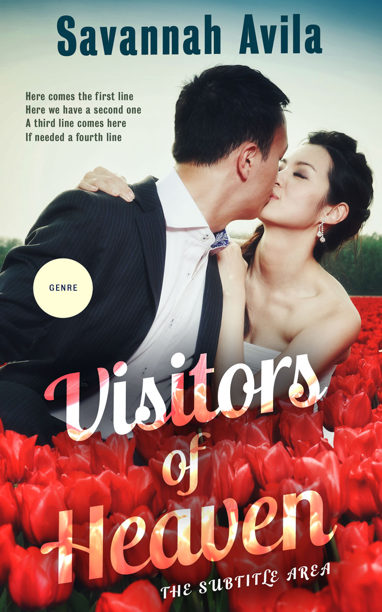 2D view of Premade Romance Book Cover - Swirl