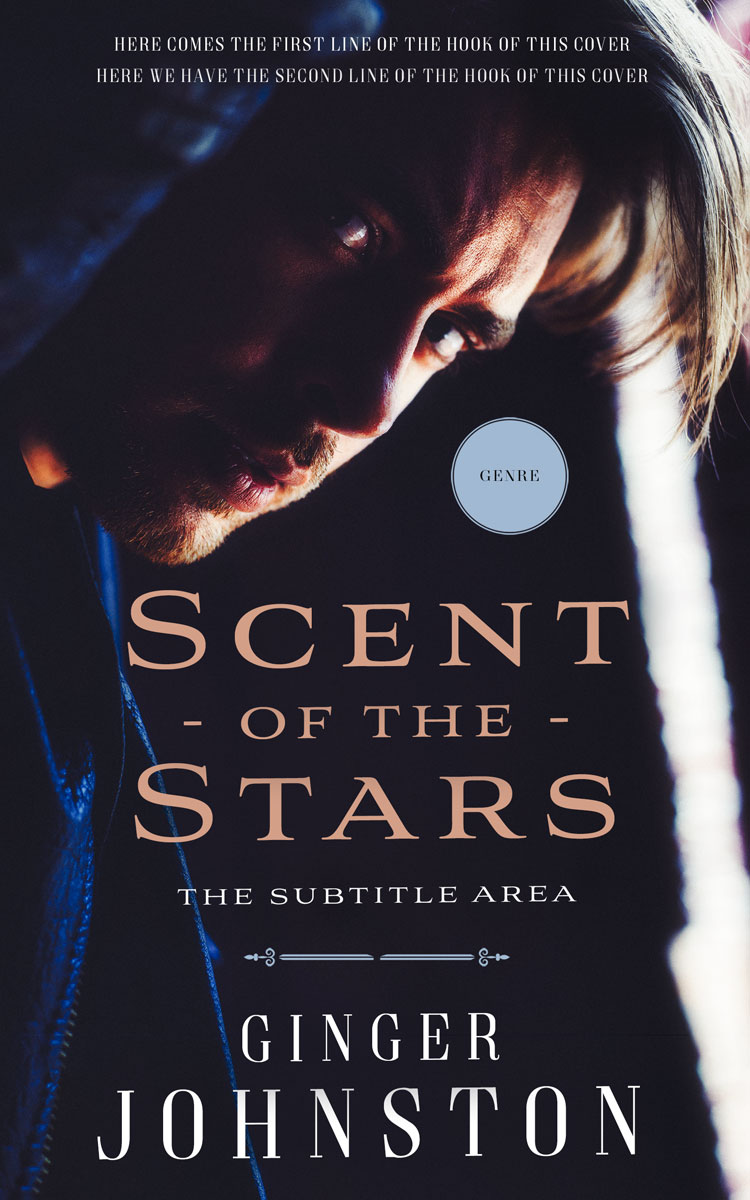 2D view of Premade Erotica Book Cover - Steel Gray