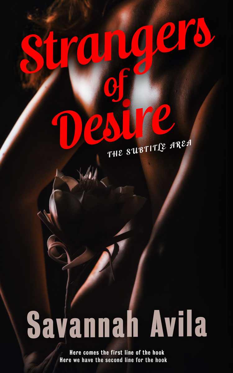 2D view of Premade Erotica Book Cover - Roman