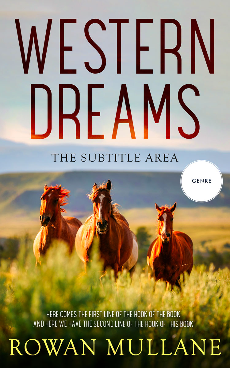 2D view of Premade Western Book Cover - Gray Nickel