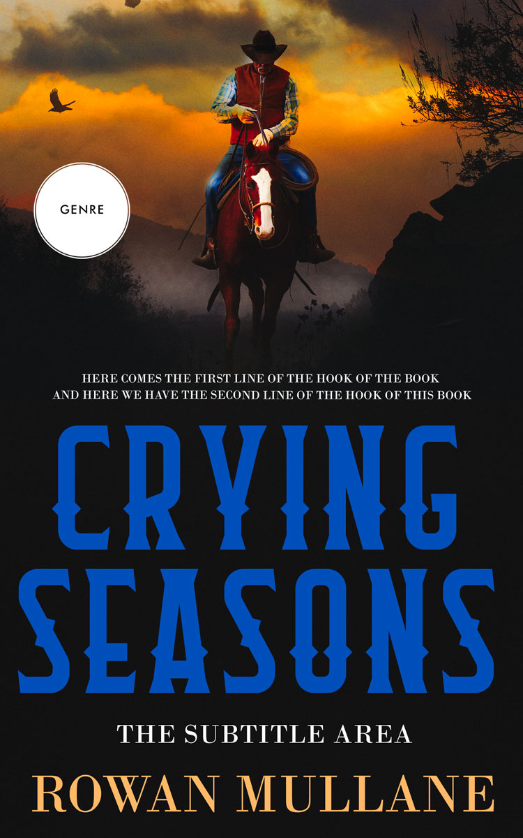 2D view of Premade Action & Adventure Book Cover - Brandy Punch