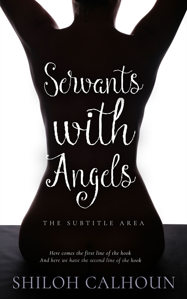 2D view of Premade Erotica Book Cover - Night Rider