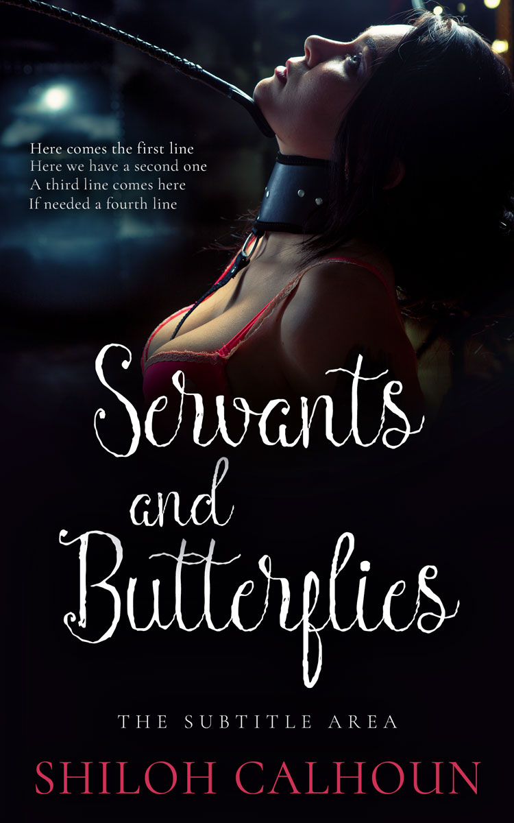 2D view of Premade Erotica Book Cover - Cinder