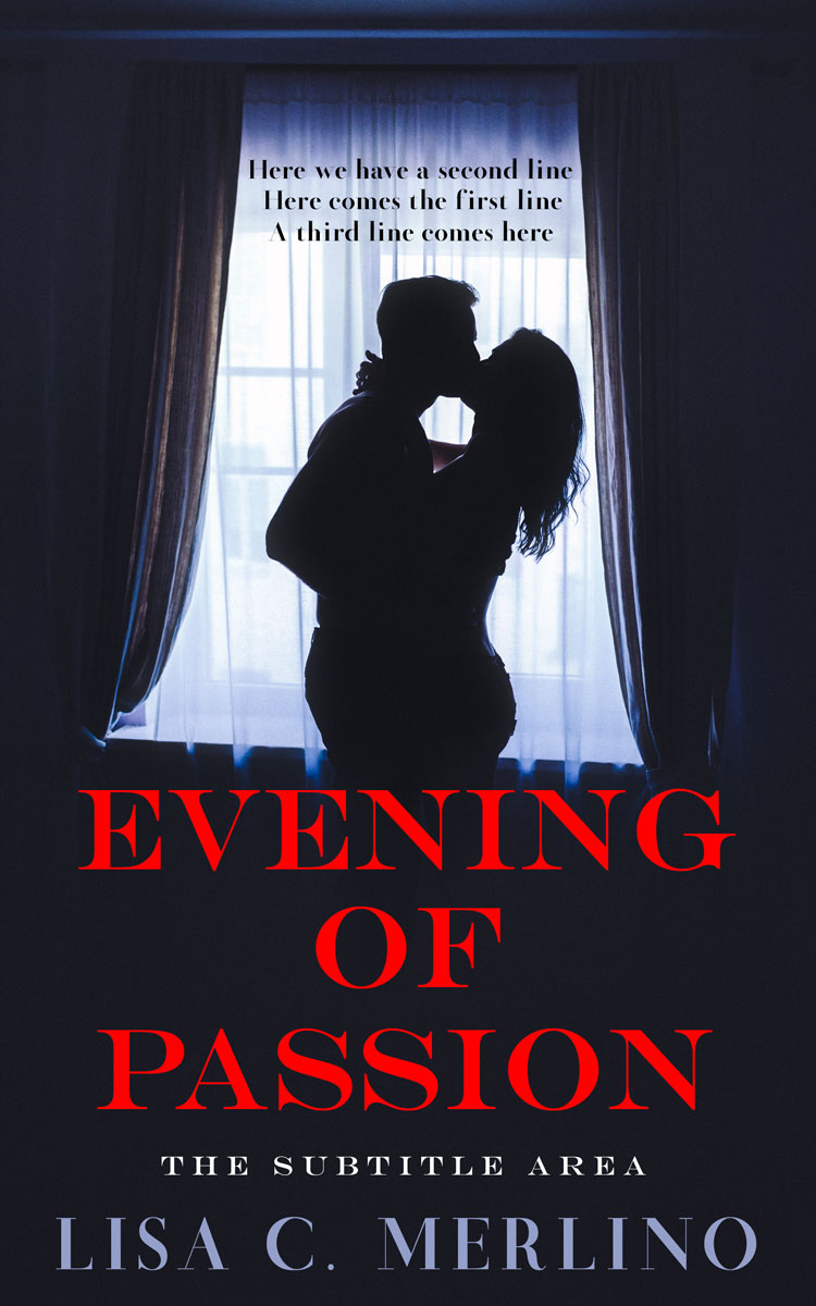 2D view of Premade Erotica Book Cover - Steel Gray