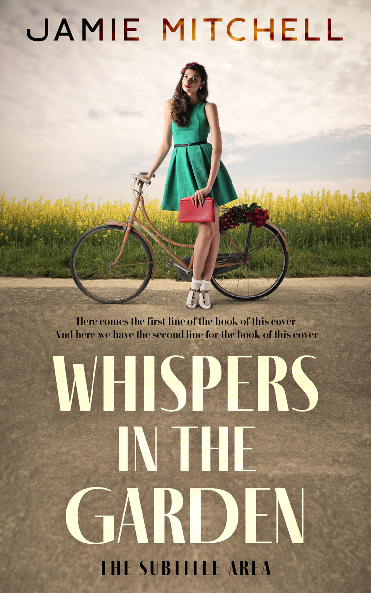 2D view of Premade Literary Fiction Book Cover - Domino