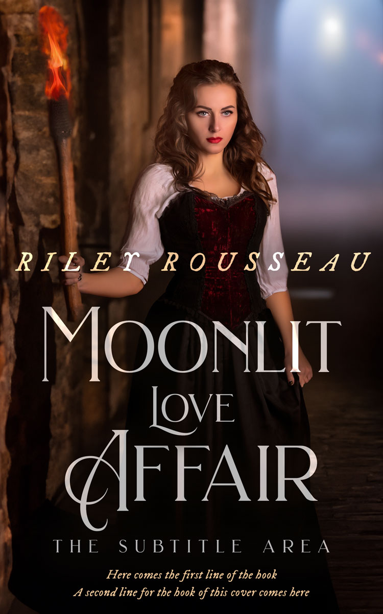 2D view of Premade Historical Book Cover - Asphalt