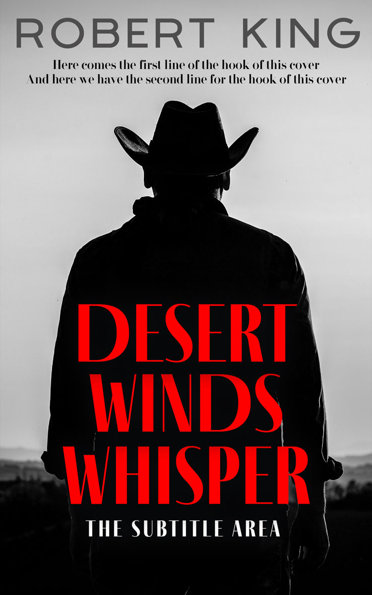 2D view of Premade Western Book Cover - Silver