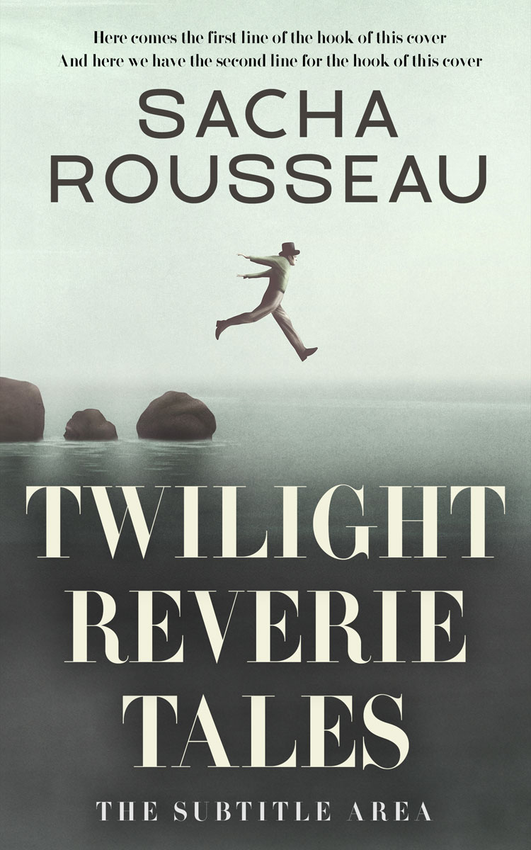 2D view of Premade Business Book Cover - Tasman