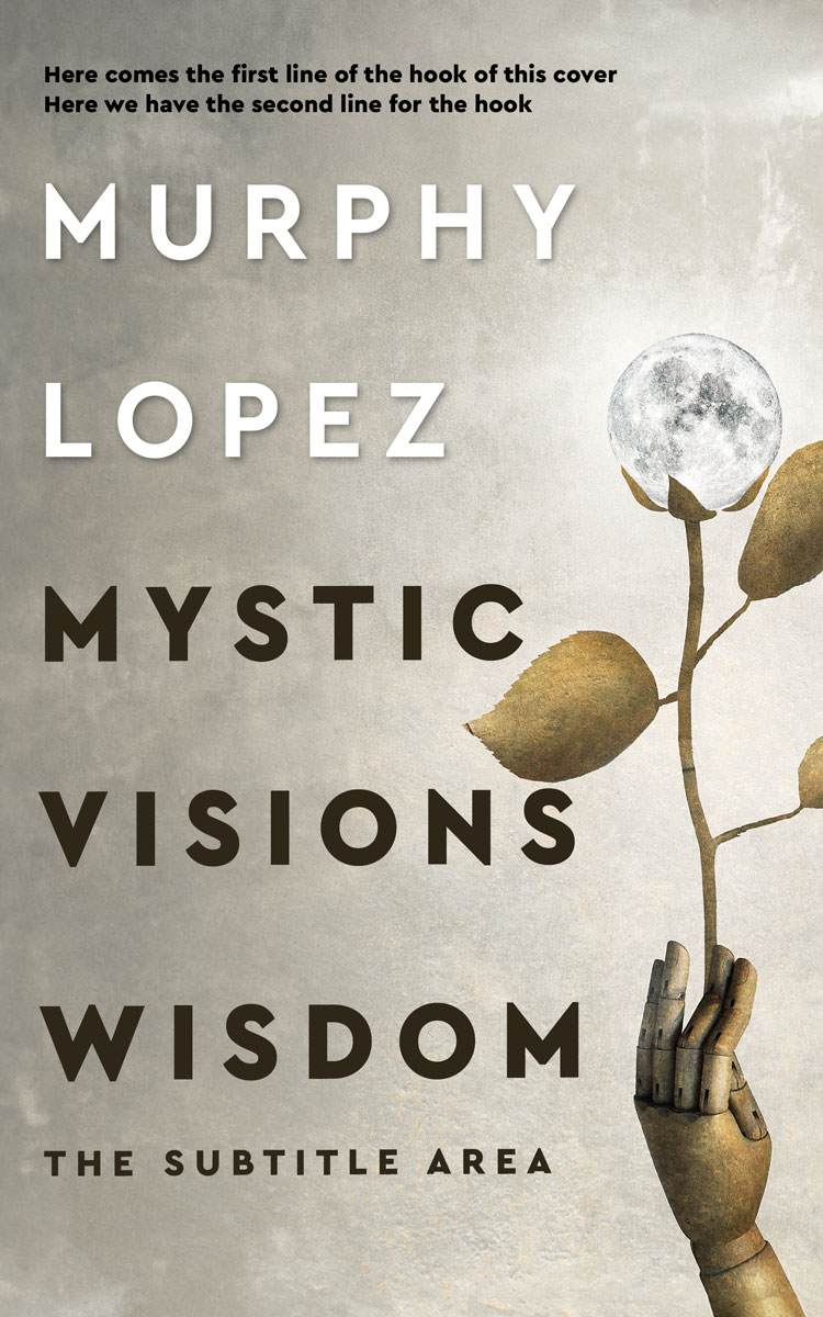 2D view of Ash #15624 - Premade Abstract Book Cover