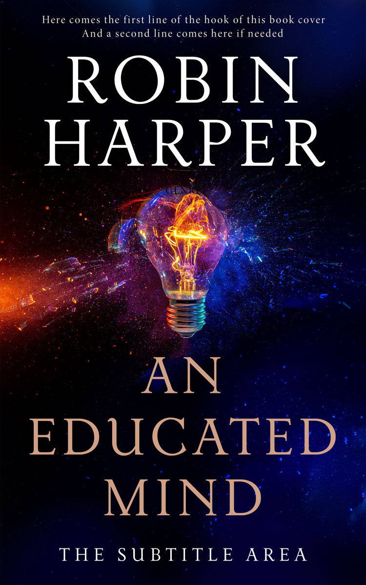 2D view of Premade Business Book Cover - Haiti